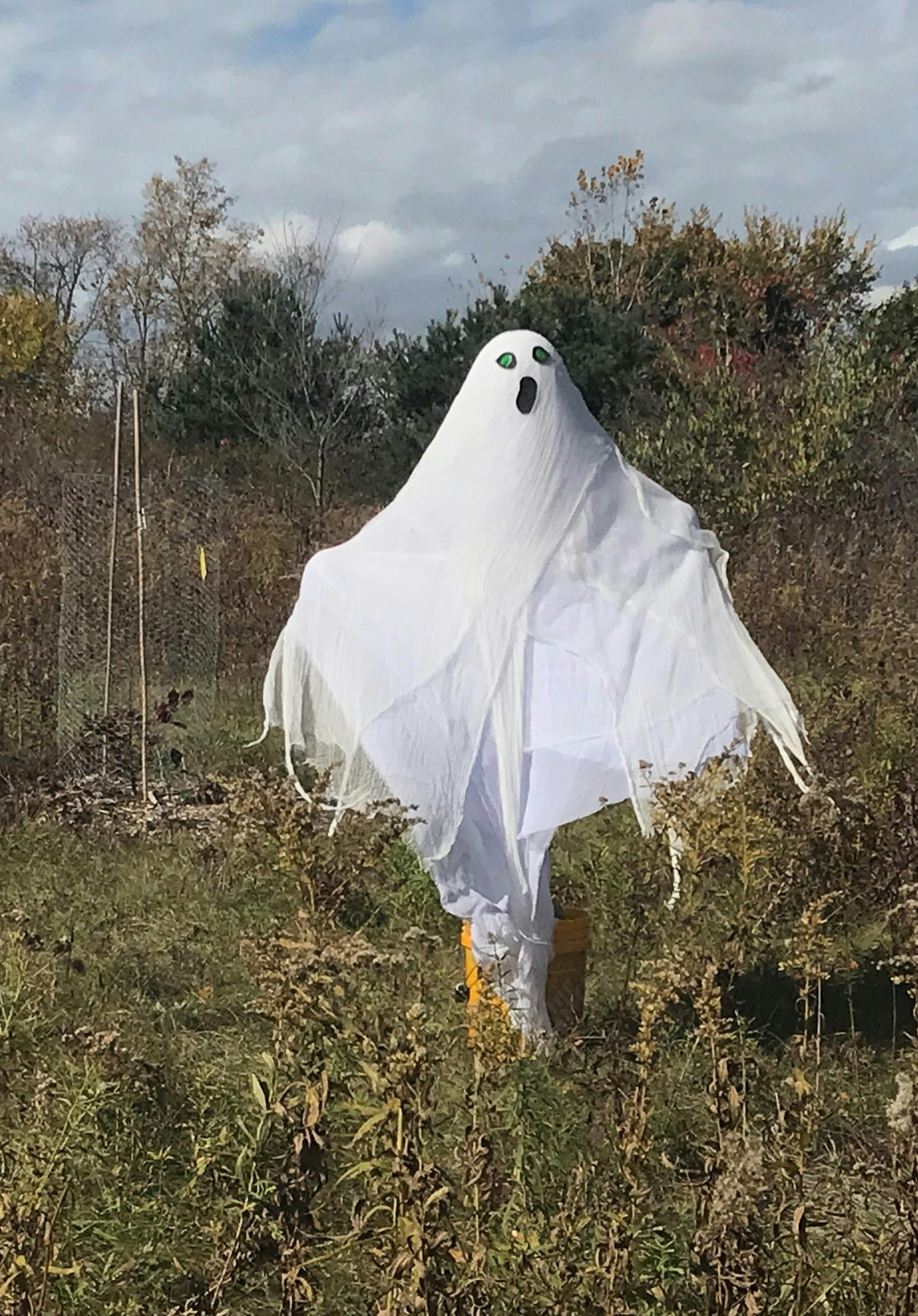 ghost on Scavenger Hunt trail.jpg