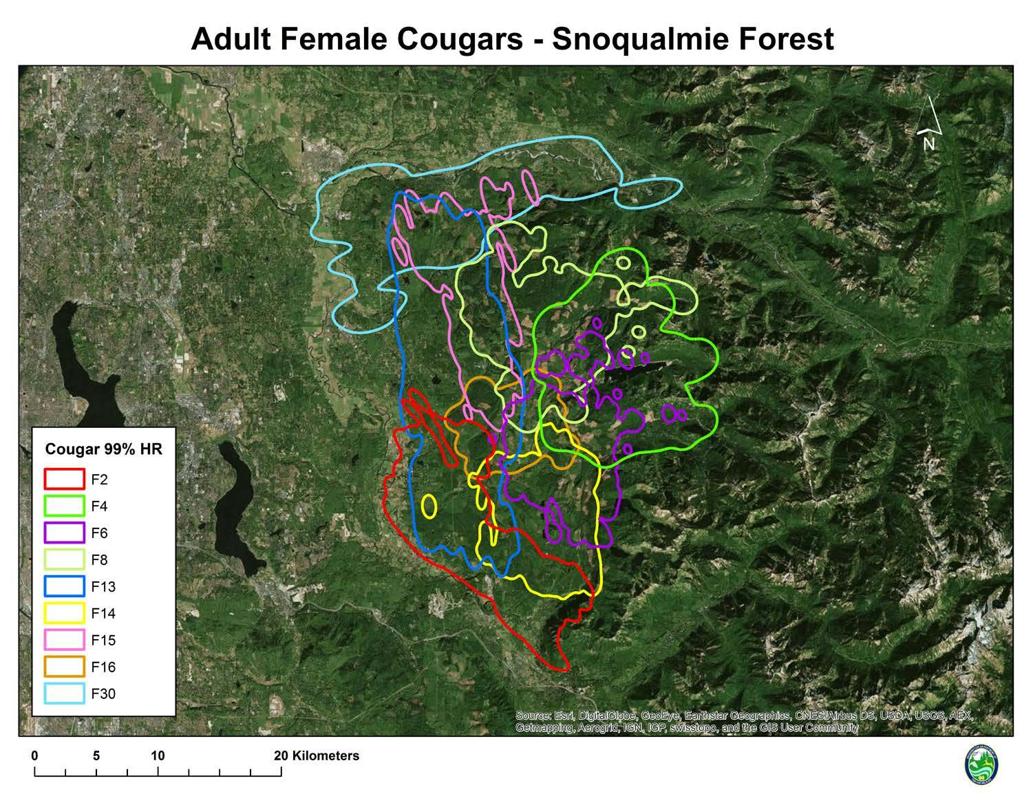 Female Cougar Territory