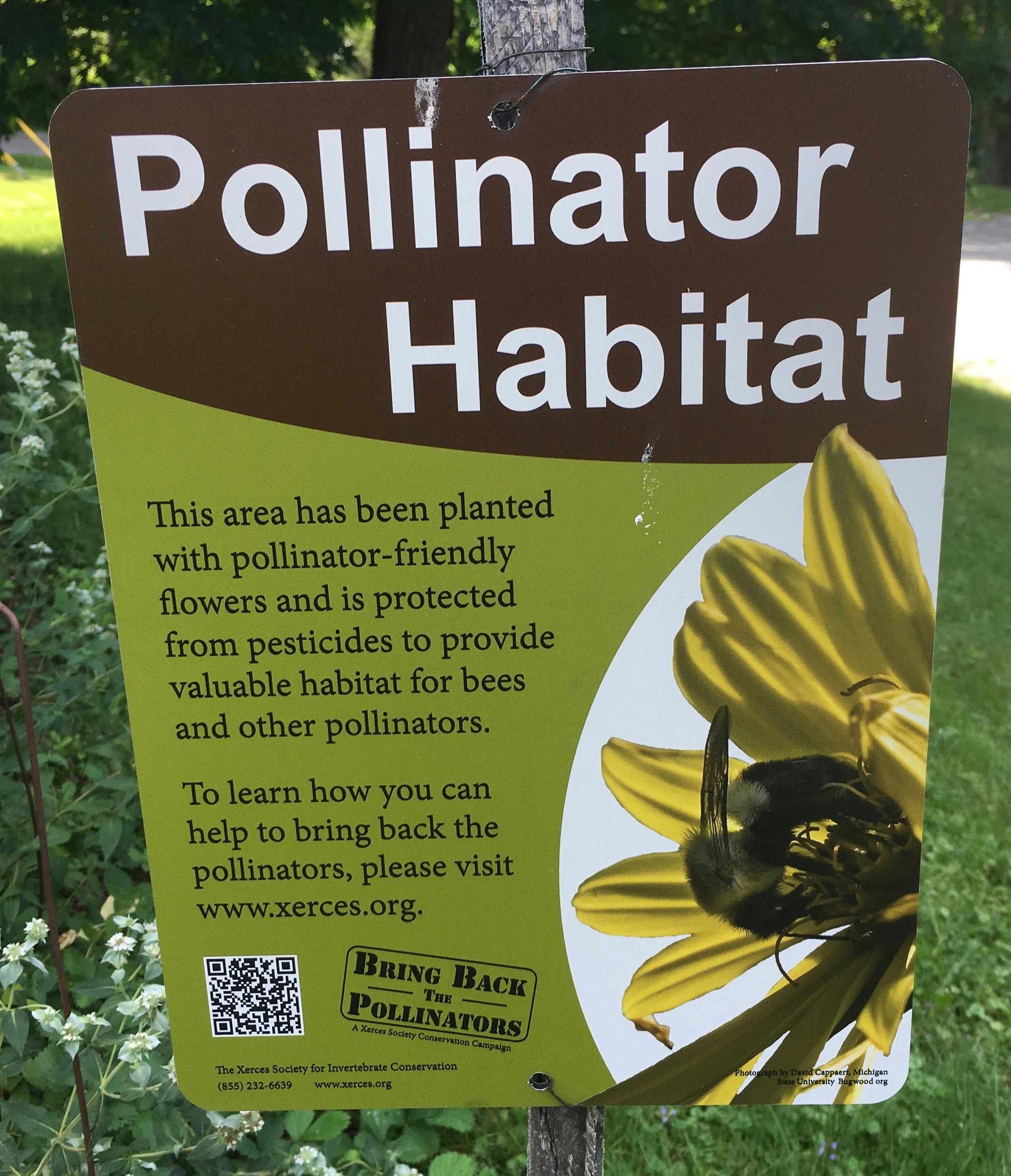Learn more about pollinators at Xerces.org