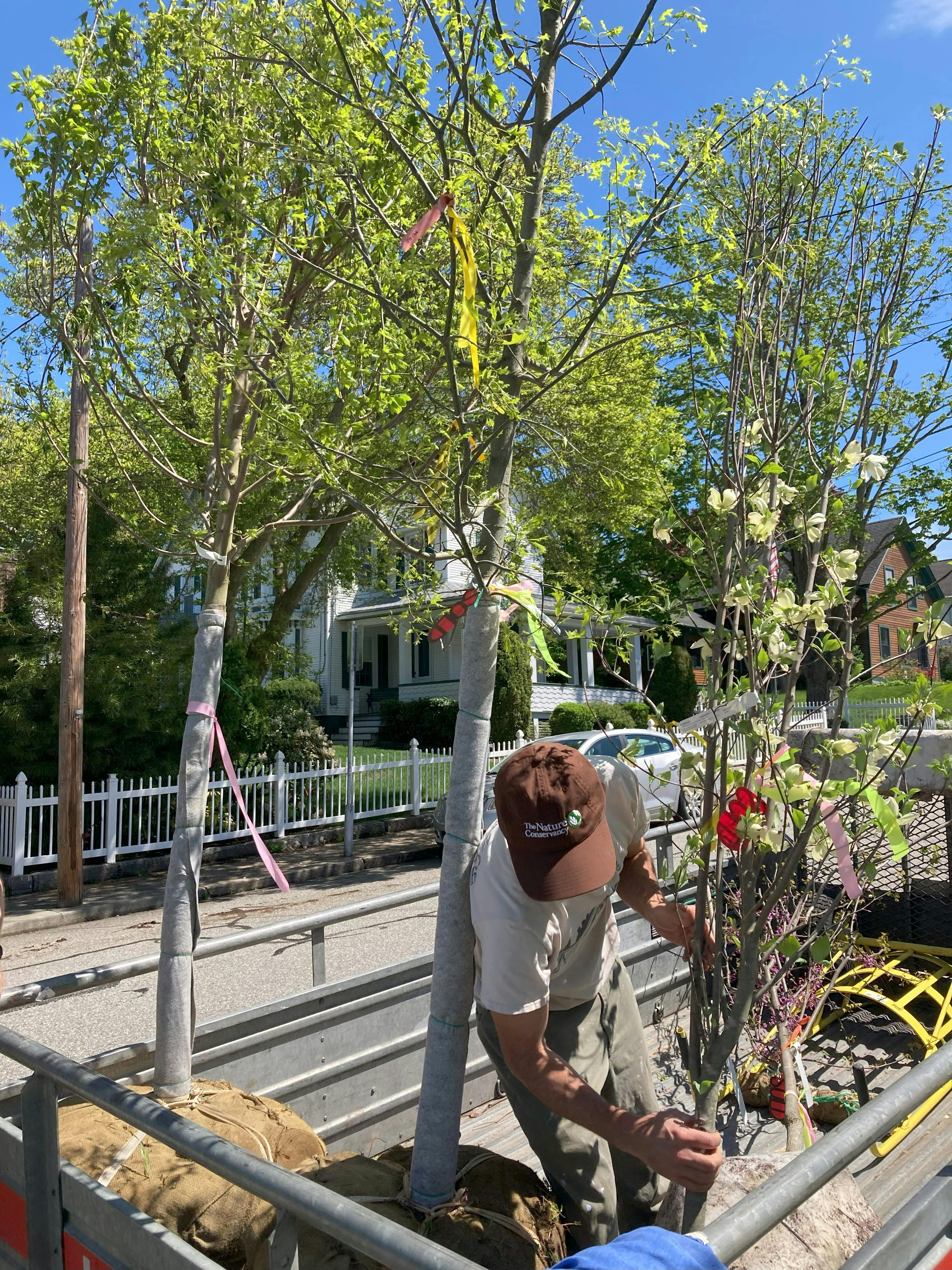 Spring Tree Planting_3.jpg