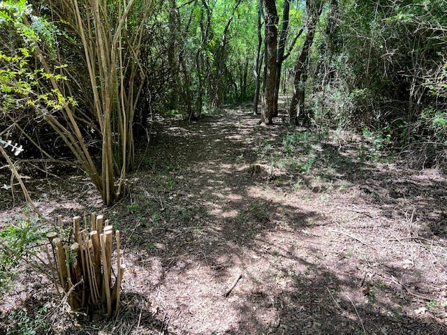 SLP Trail Development