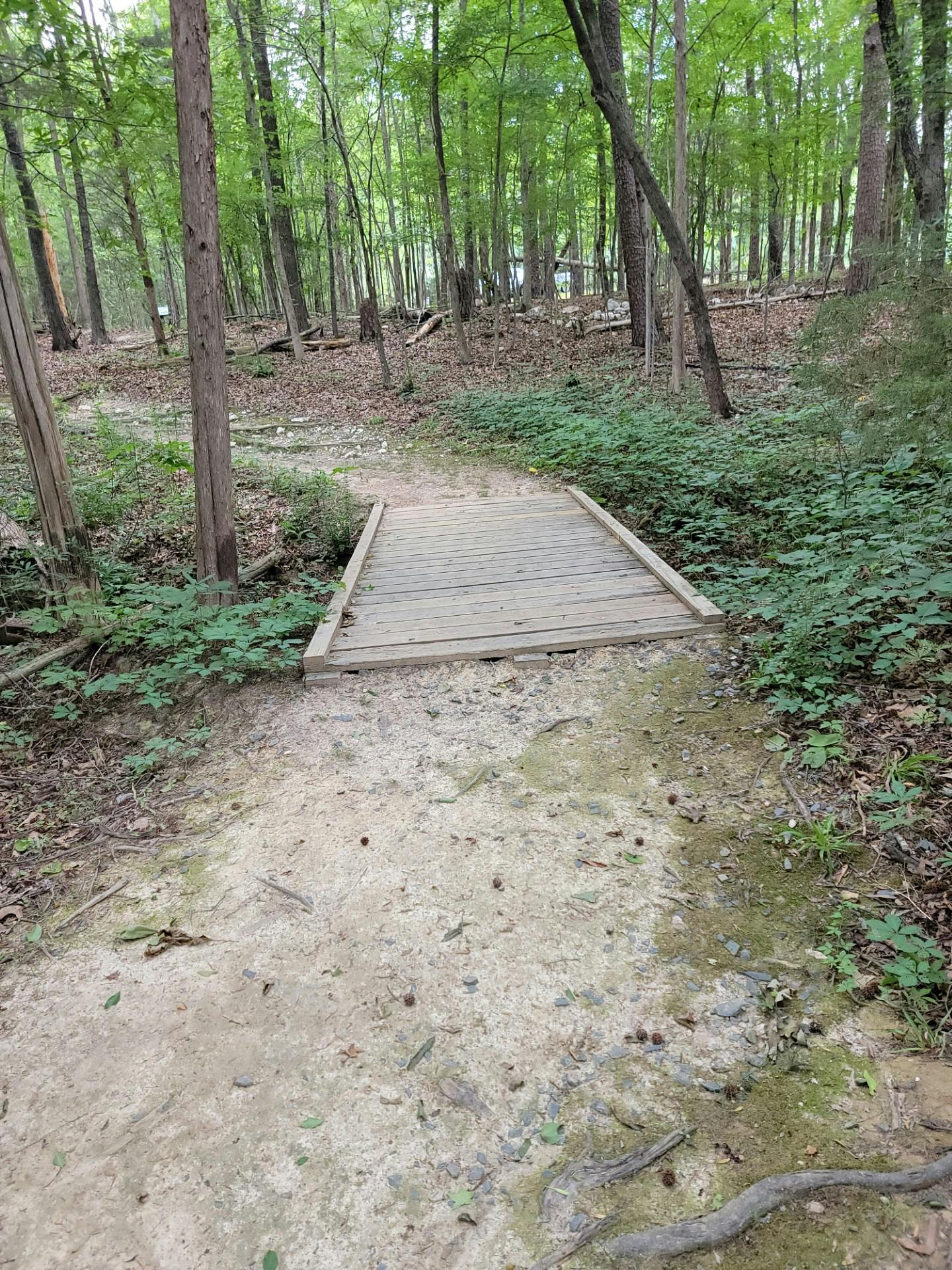 CCP Trail 11.jpg