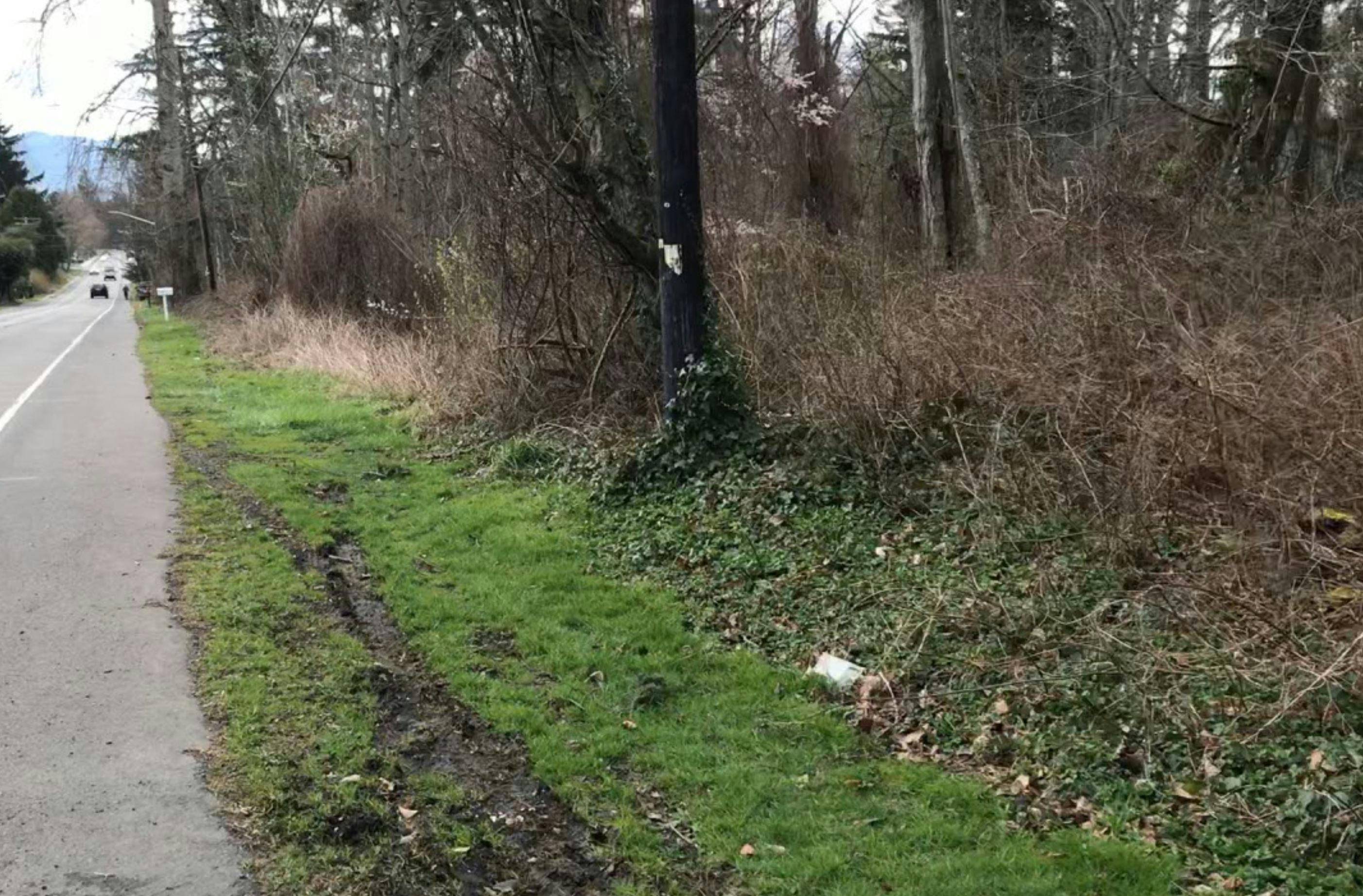 Edge of parkland along Maplewood Avenue