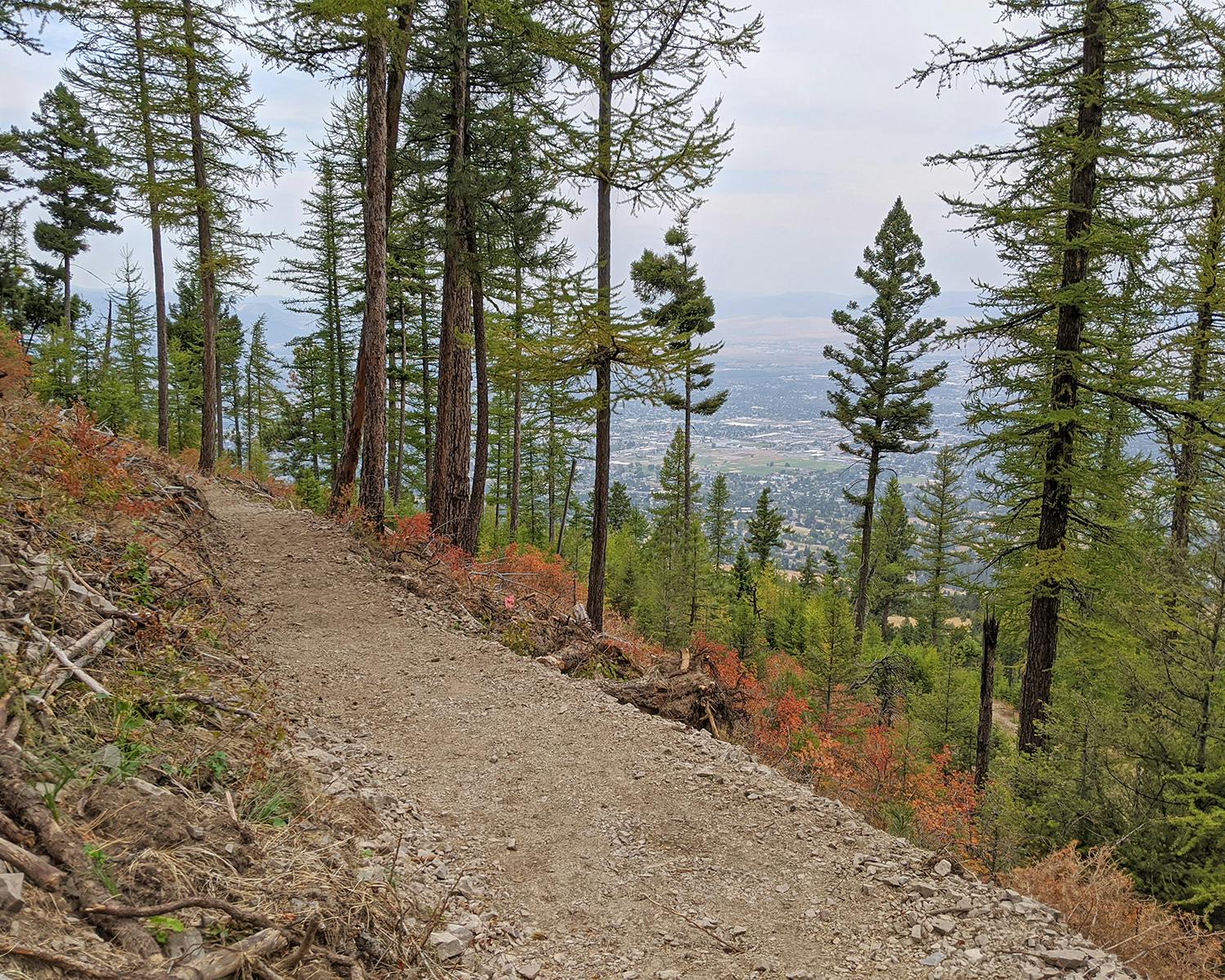View of Missoula from mid-trail_by Five Valleys.jpg