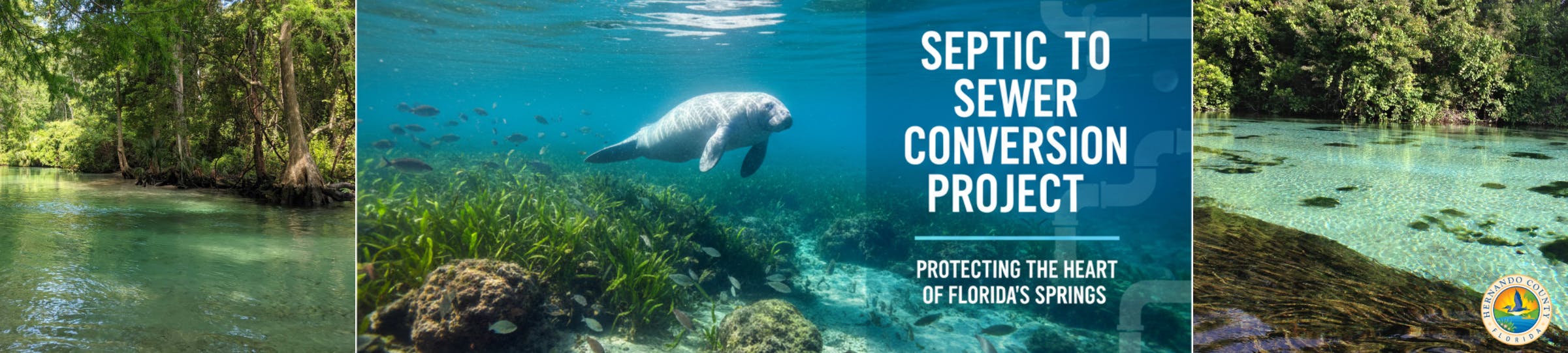 Image of a manatee and text that reads "Stay Informed! Remediation Projects/Updates. Learn more."