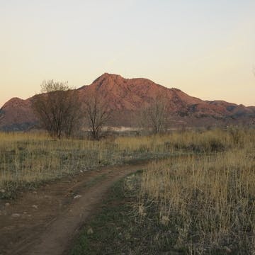 Mount Carbon Trail Project