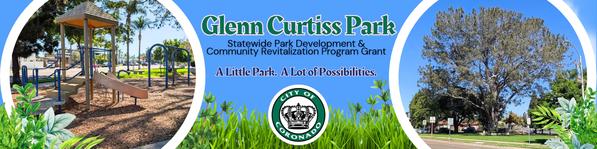 Image of Glenn Curtiss playground and Heritage Torrey pine tree