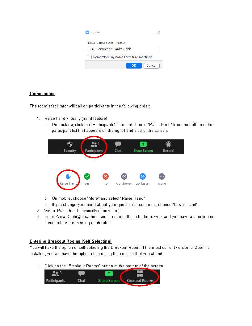 Zoom Instructions for Public SAN Noise Study Overview San