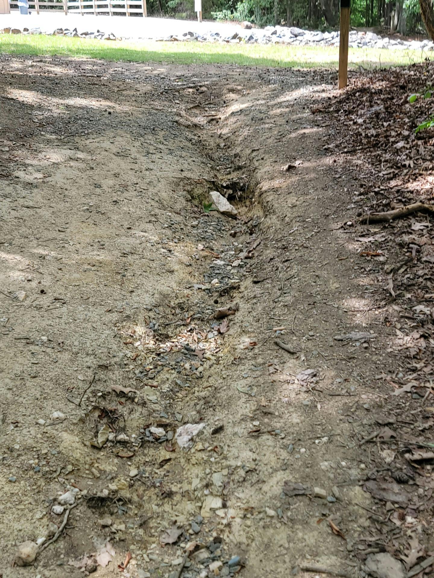 CCP Trail 6-15-26.jpg