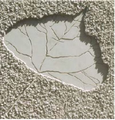 stamped concrete leaf.JPG