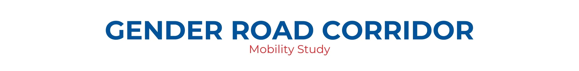 Gender Road Corridor Mobility Survey