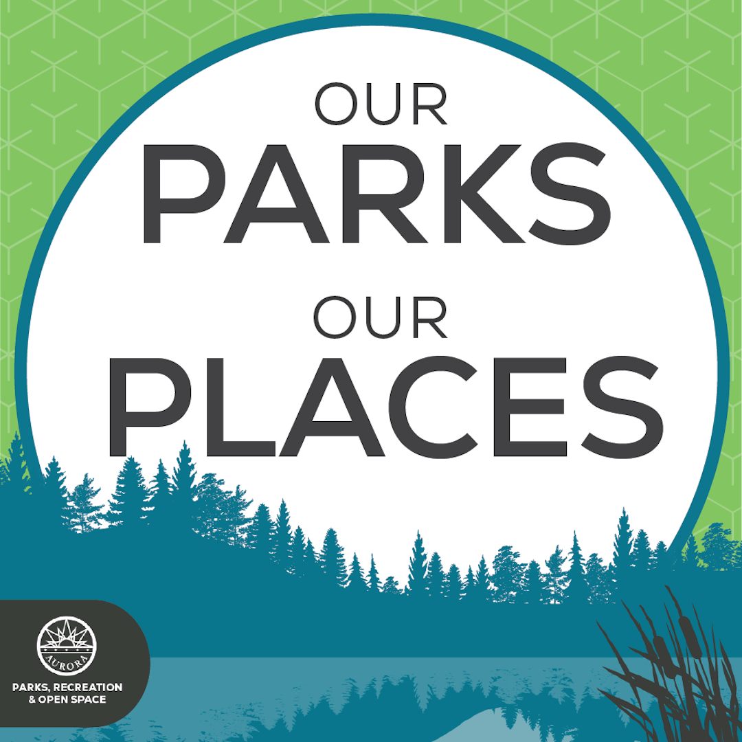 Text reads Our Parks, Our Places with green background and image of trees lining a lack in varying shades of blue. 
