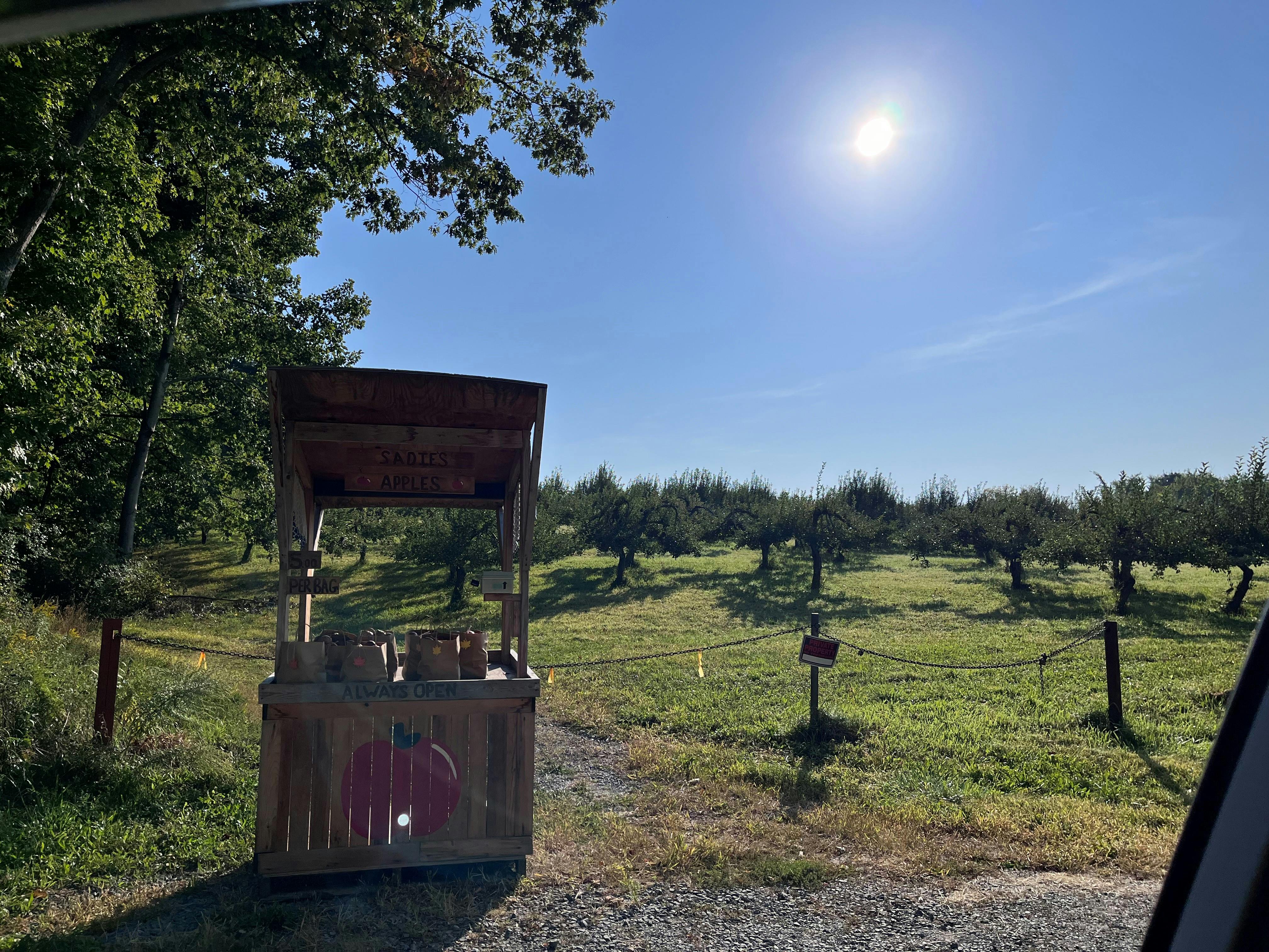 Farm stand always open in front of orchards - Riverview Rd 9-14-24.jpg