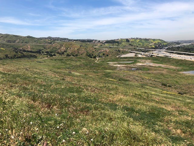 Property View Toward Freeway.jpg