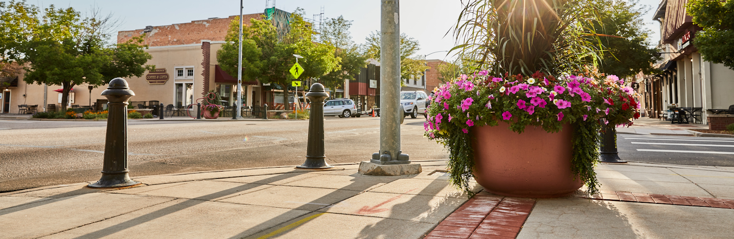 Flower pot in downtown Windsor Colorado