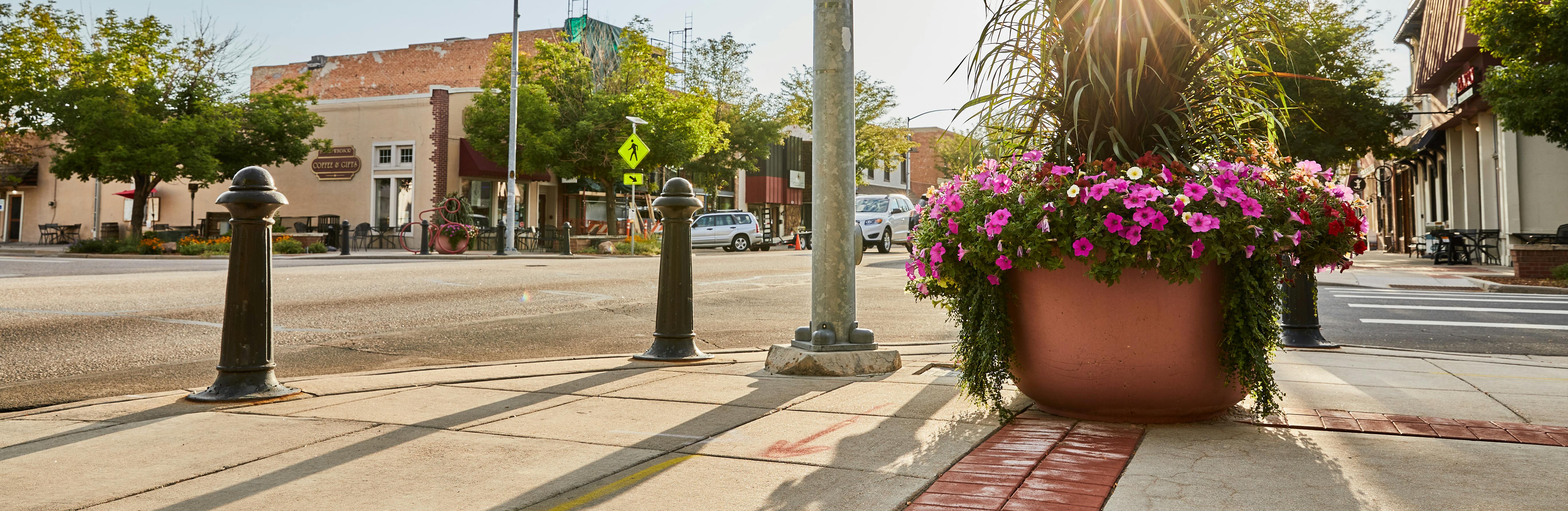 Flower pot in downtown Windsor Colorado