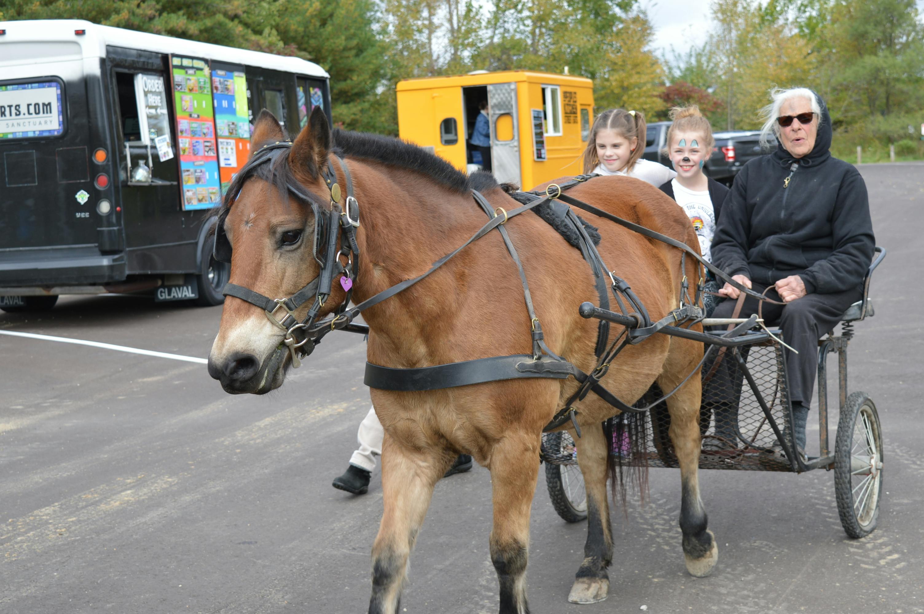 Mini cart ride with Winnie the Pony.