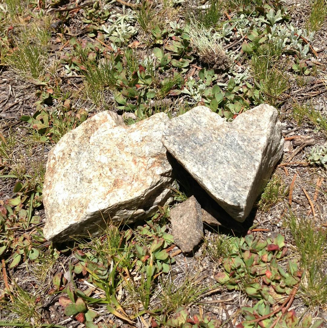 picture of rocks shaped like hearts