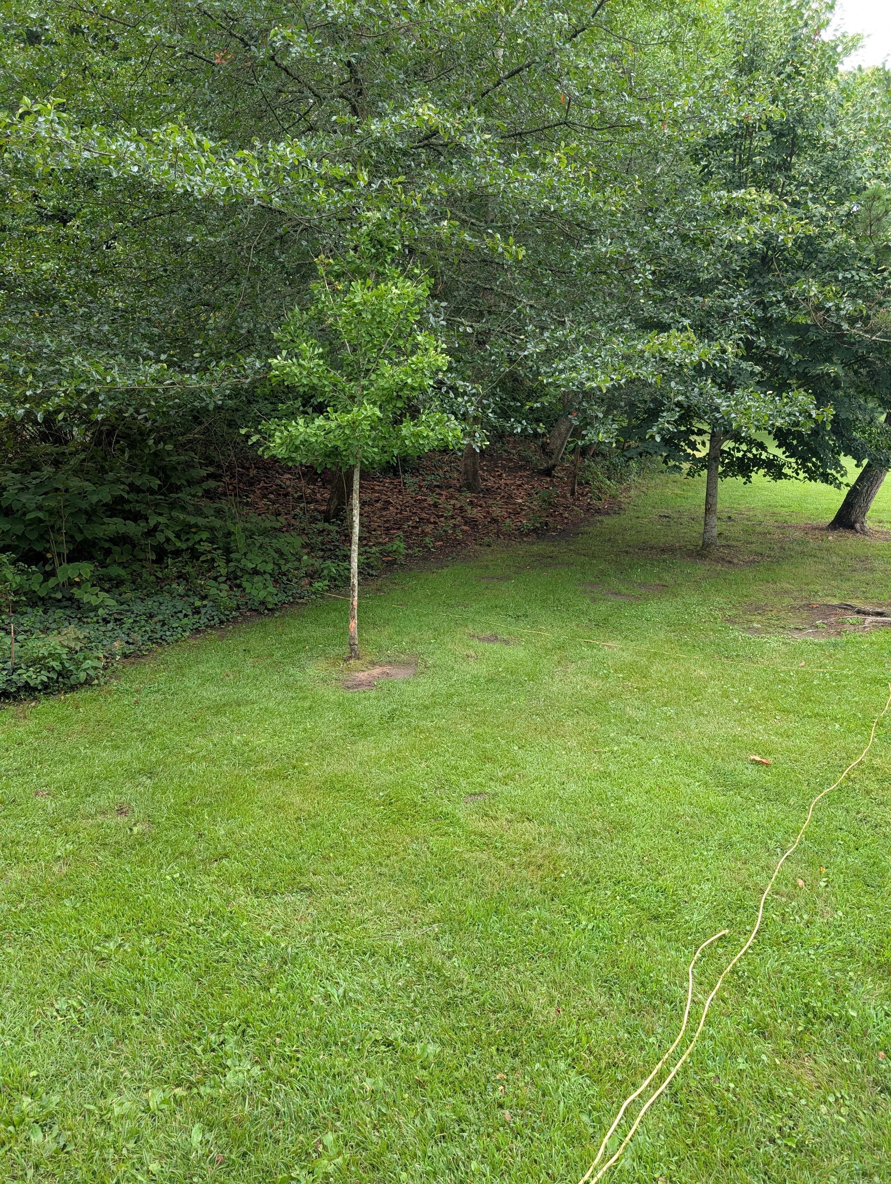 Image of property