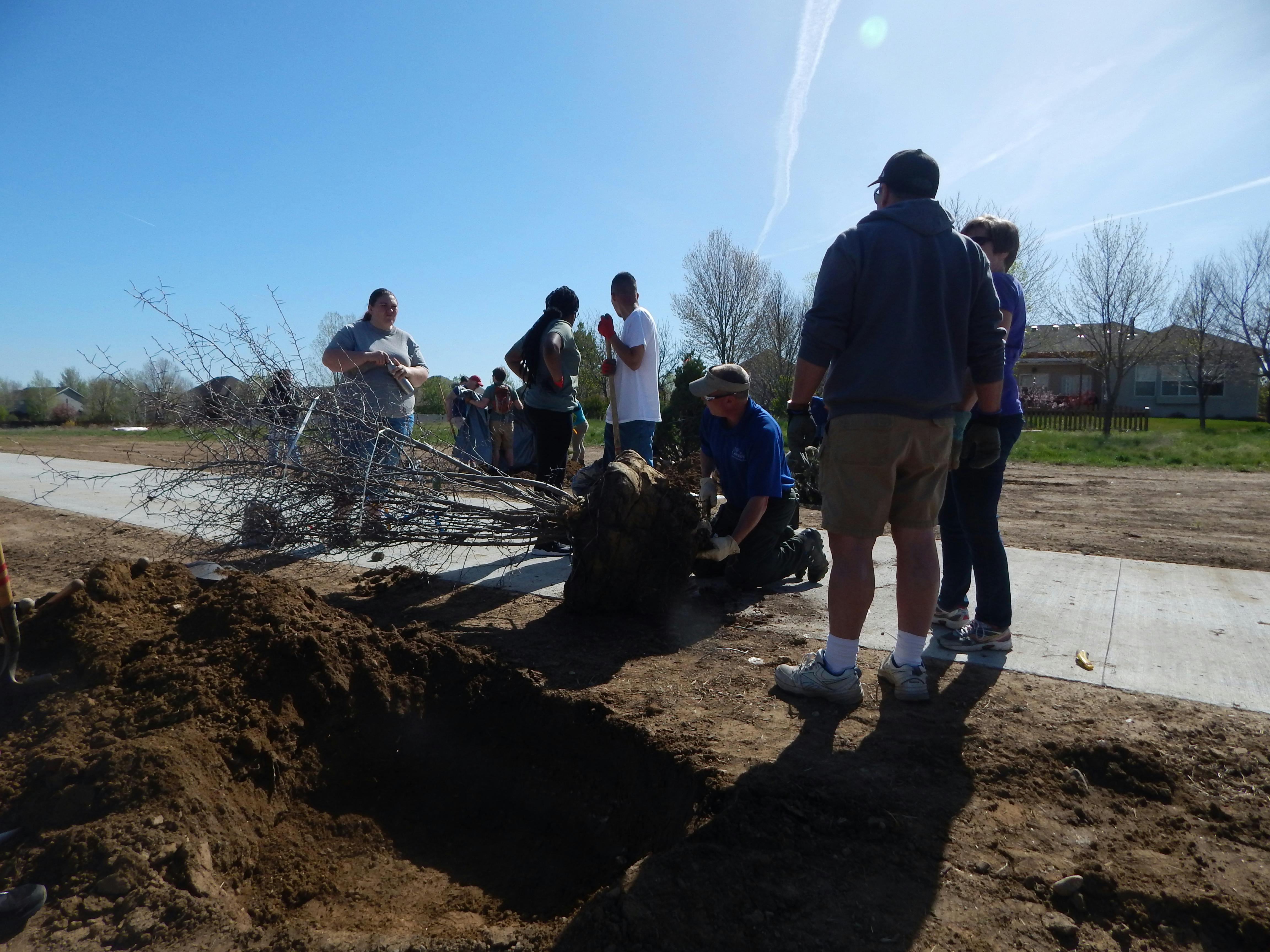 Forestry and Volunteers Plant Trees Along the Trail.JPG