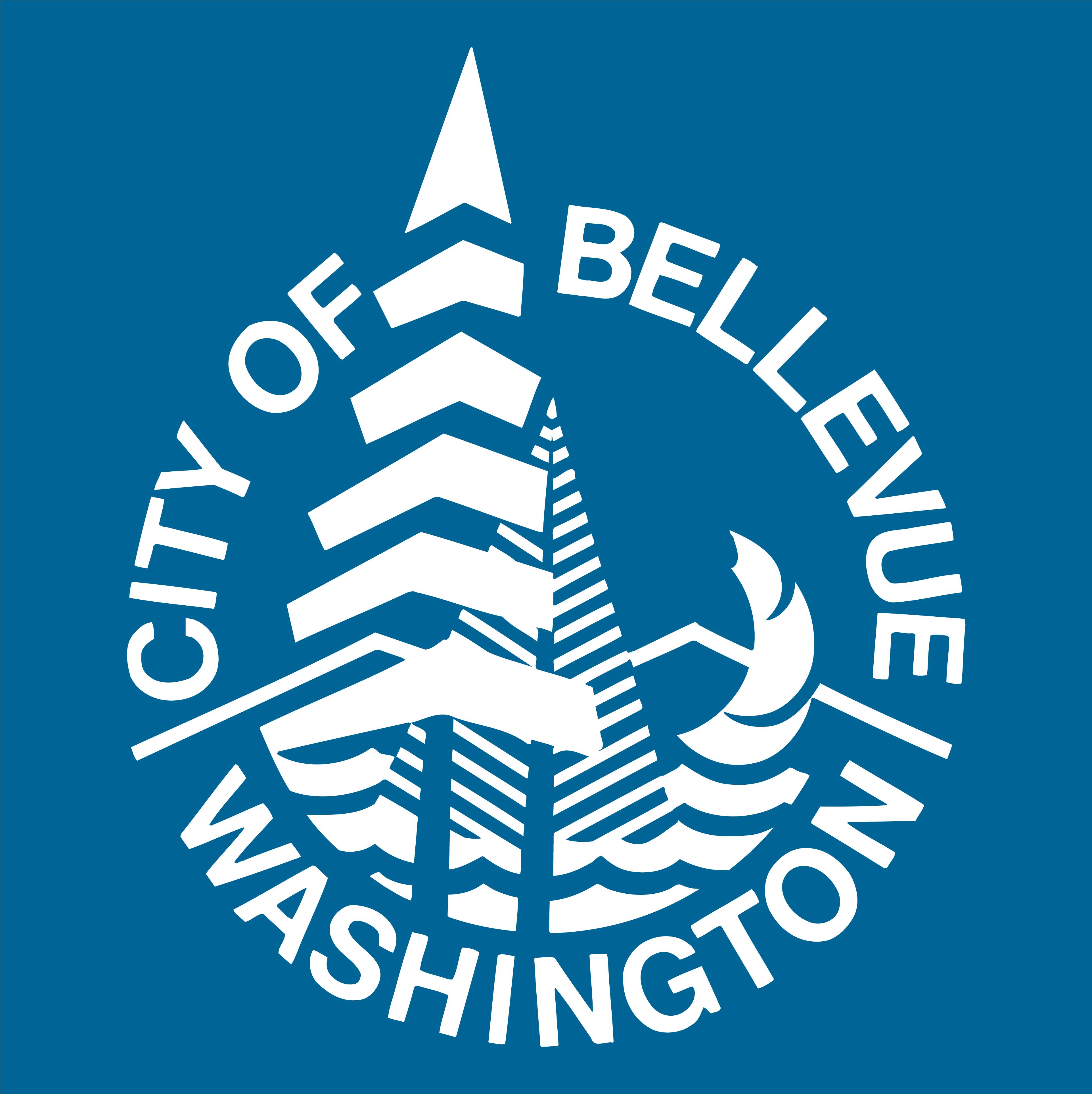 Team member, Safe Speeds Bellevue