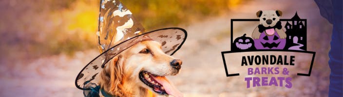 Events, City Events, Special Events