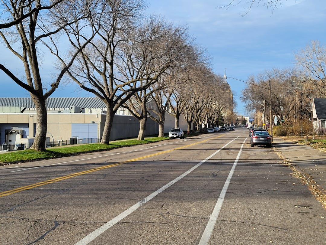 Marshall St lined with trees in the fall