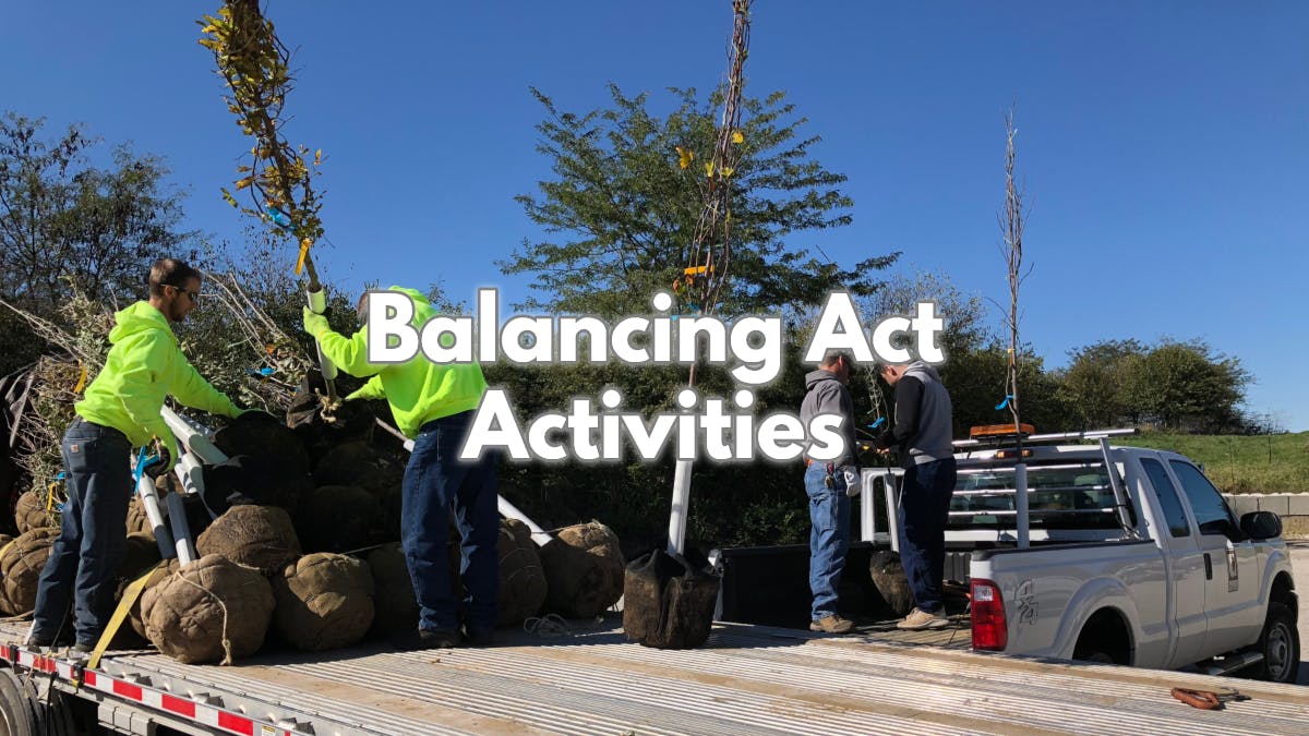 Balancing Act banner image