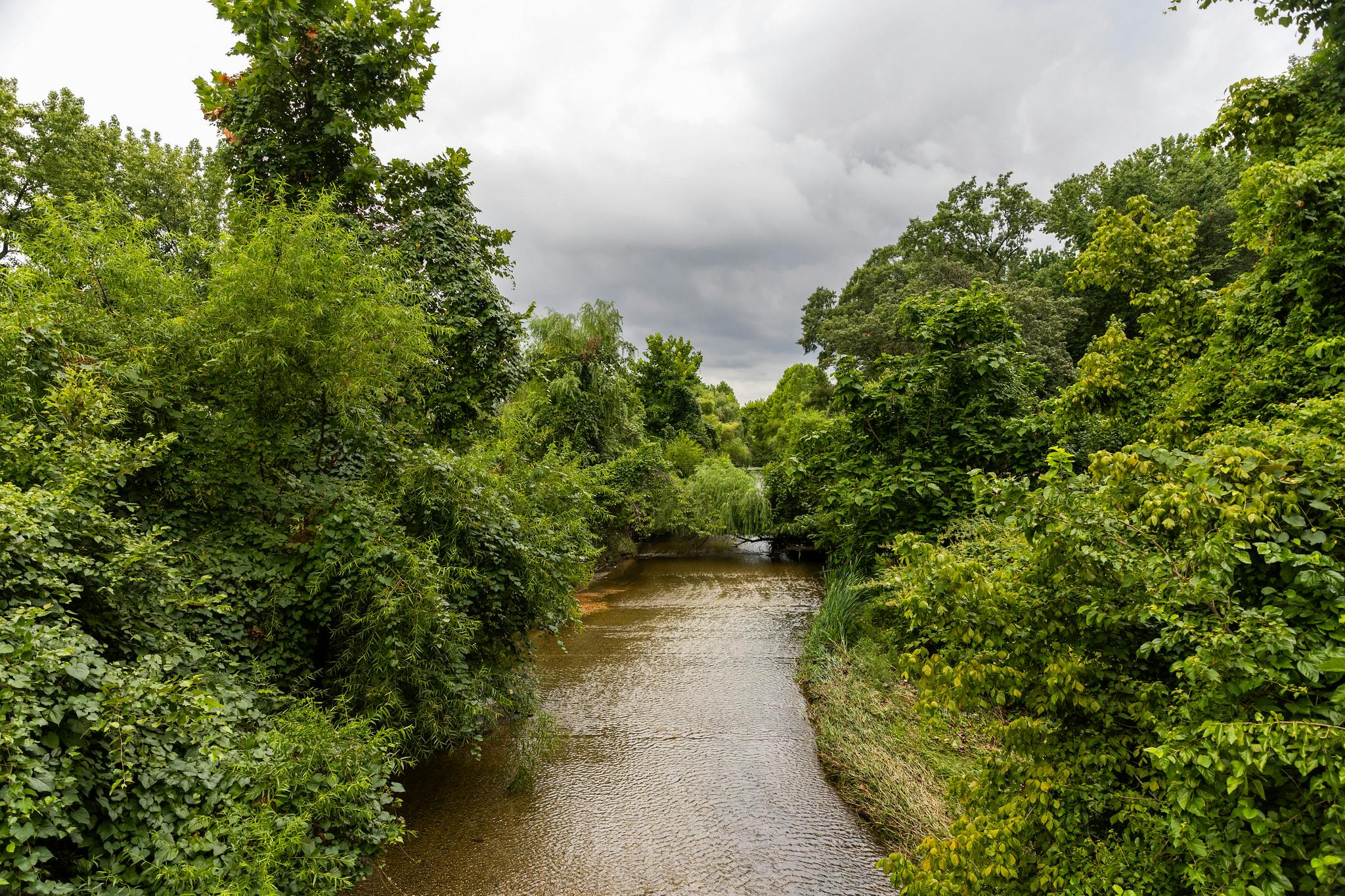 Oxon Run Stream