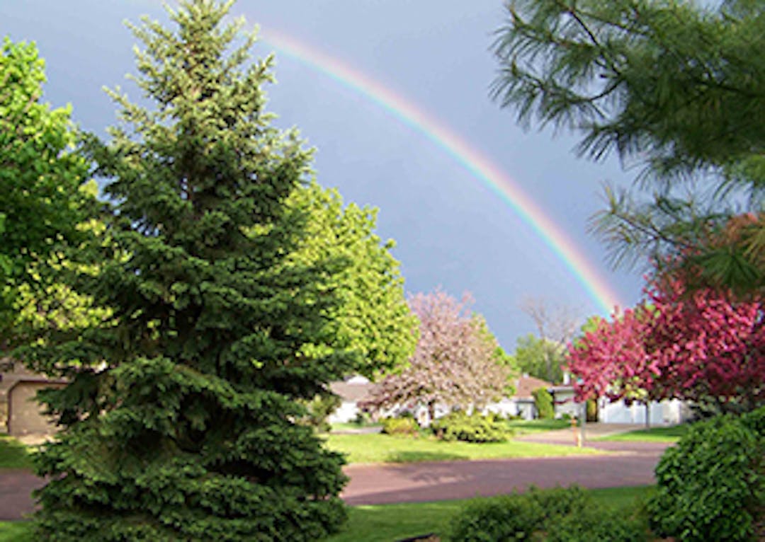 A photo of a Mankato neighborhood. Trees are green. Rainbow is in sky.