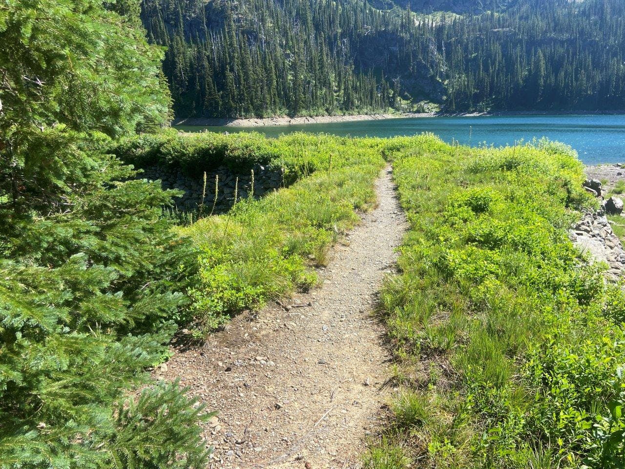 McKinley Lake - Path to Lake