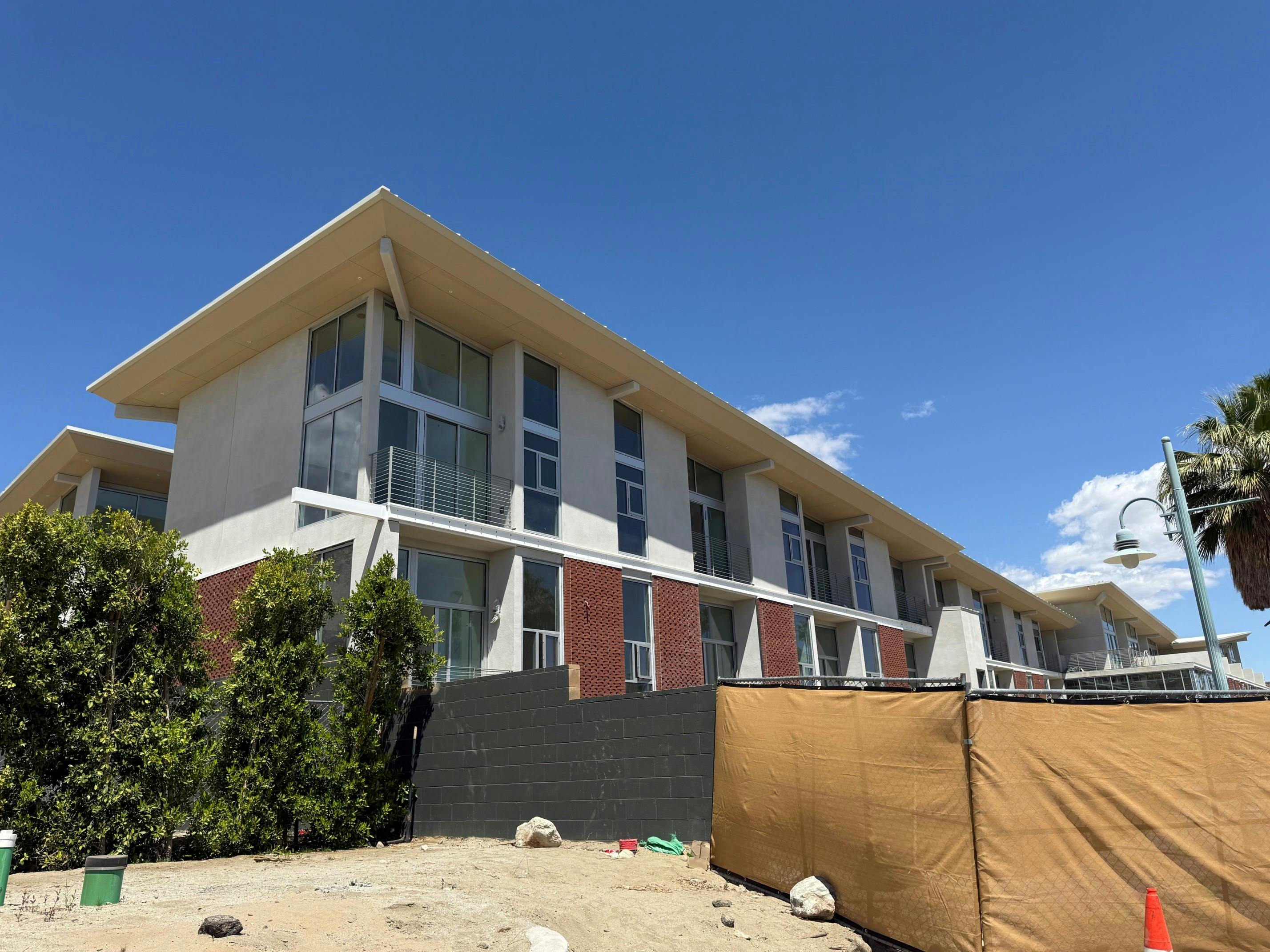 Aloe Palm Canyon 5.jpg