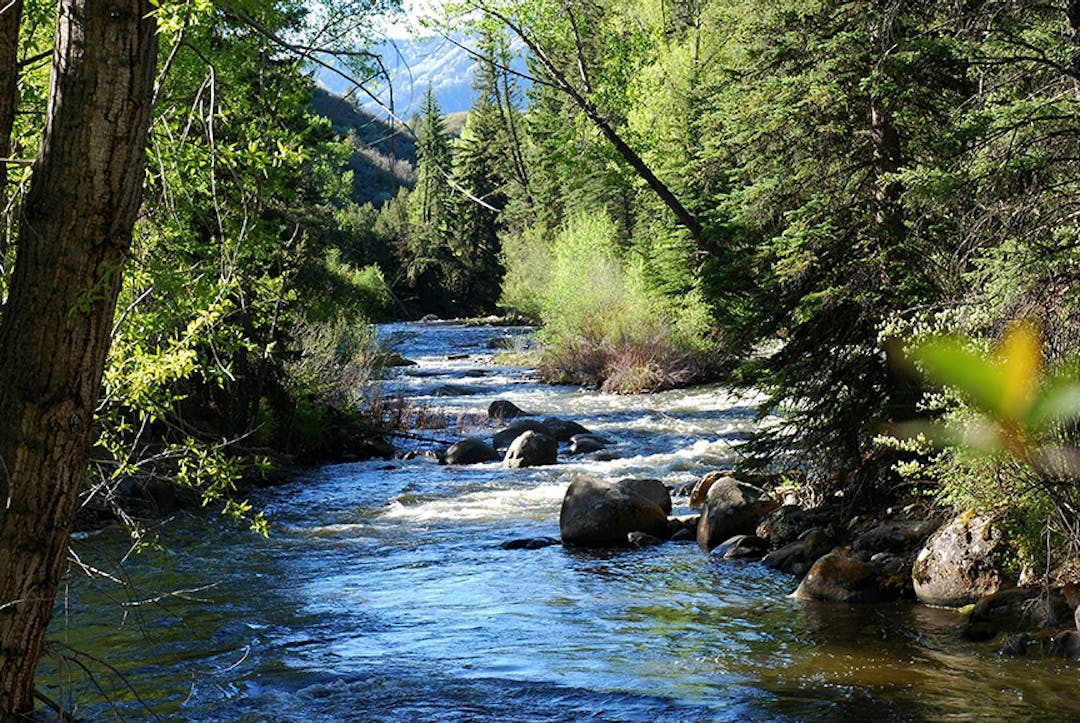 Roaring Fork River Roaring_Fork