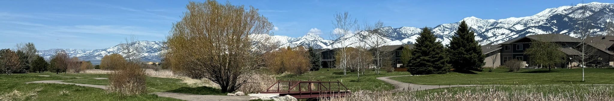 trails in green grass with bridge and snow capped mountains in background