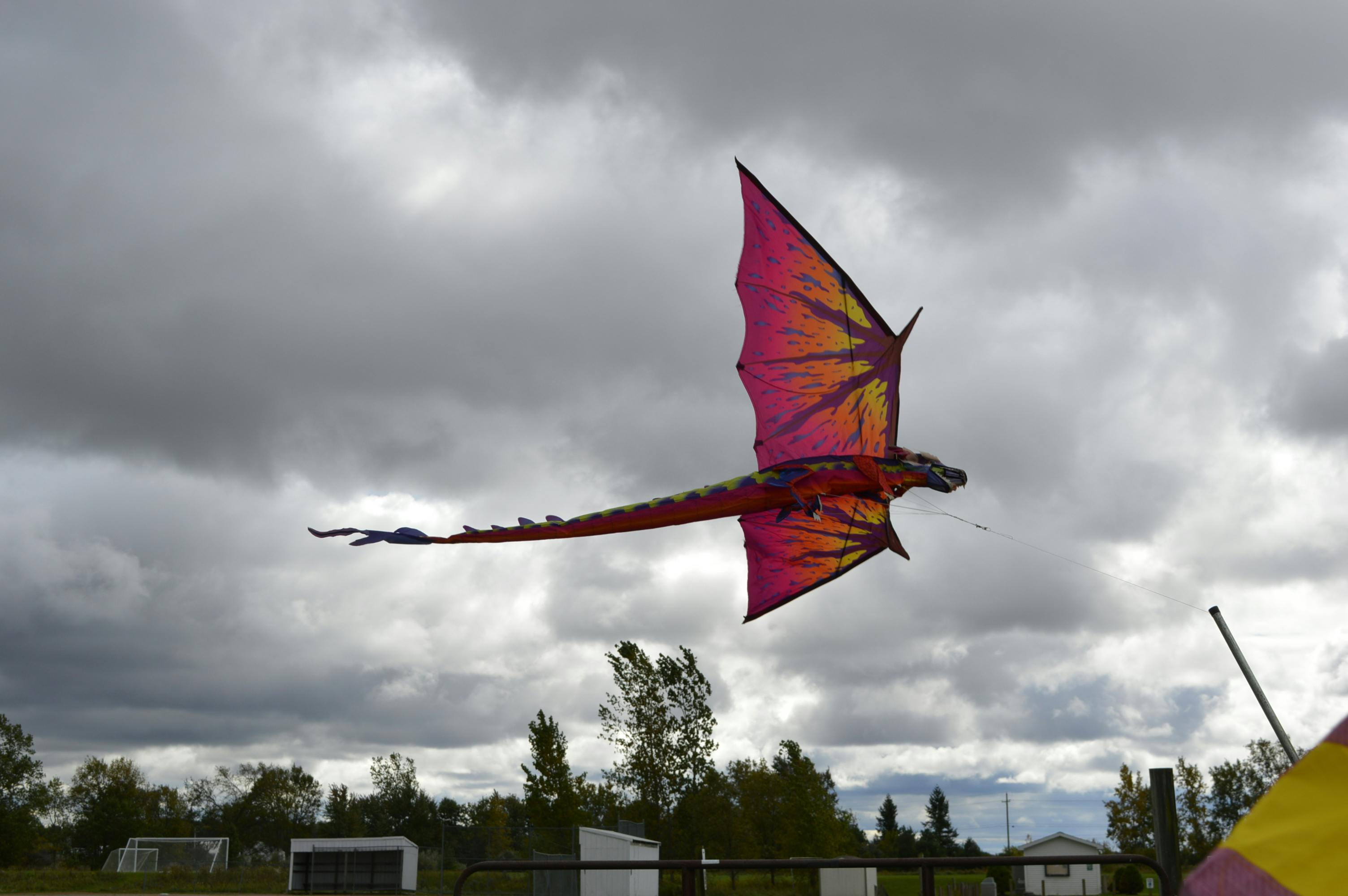 Dragon kite flying over the park.