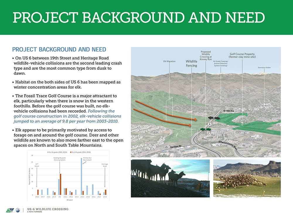 Wildlife Crossing Project Background