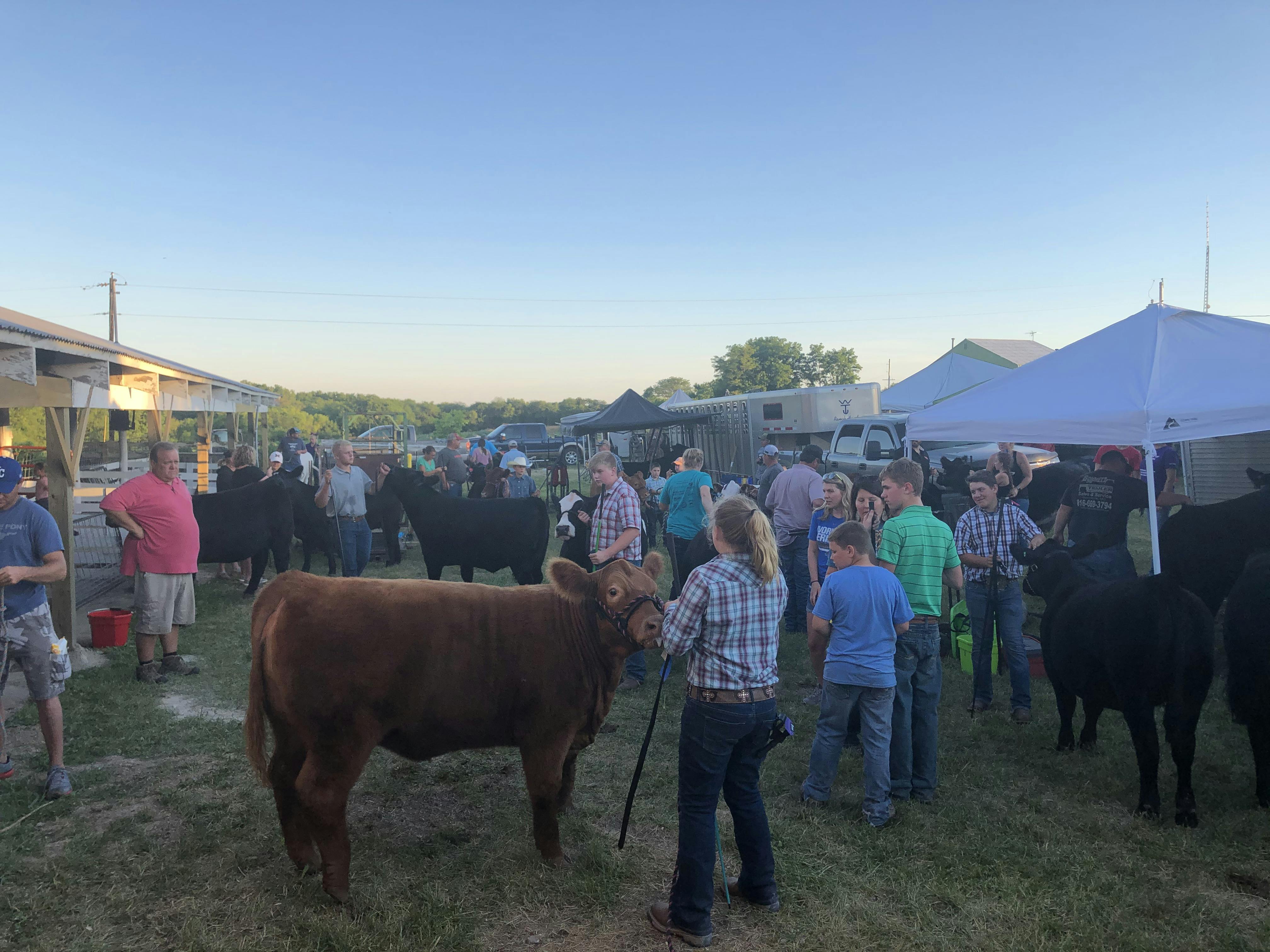 Clinton County Fair Crowd.jpg