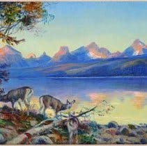 Three deer come down to the lake's edge at day's end. In the background, the setting sun lights up the craggy peaks of the distant Continental Divide, casting a reflection in the placid water far below