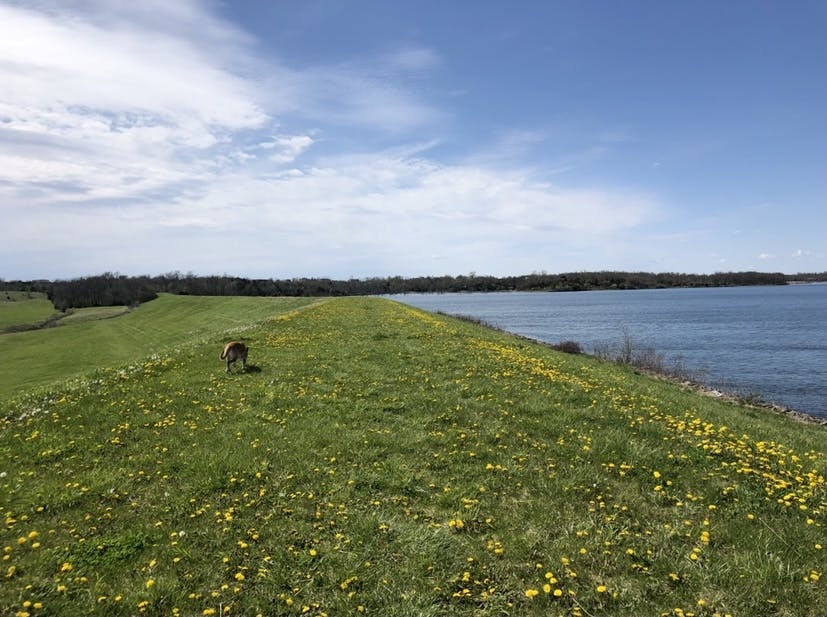 Nodaway_Mozingo Lake.jpg