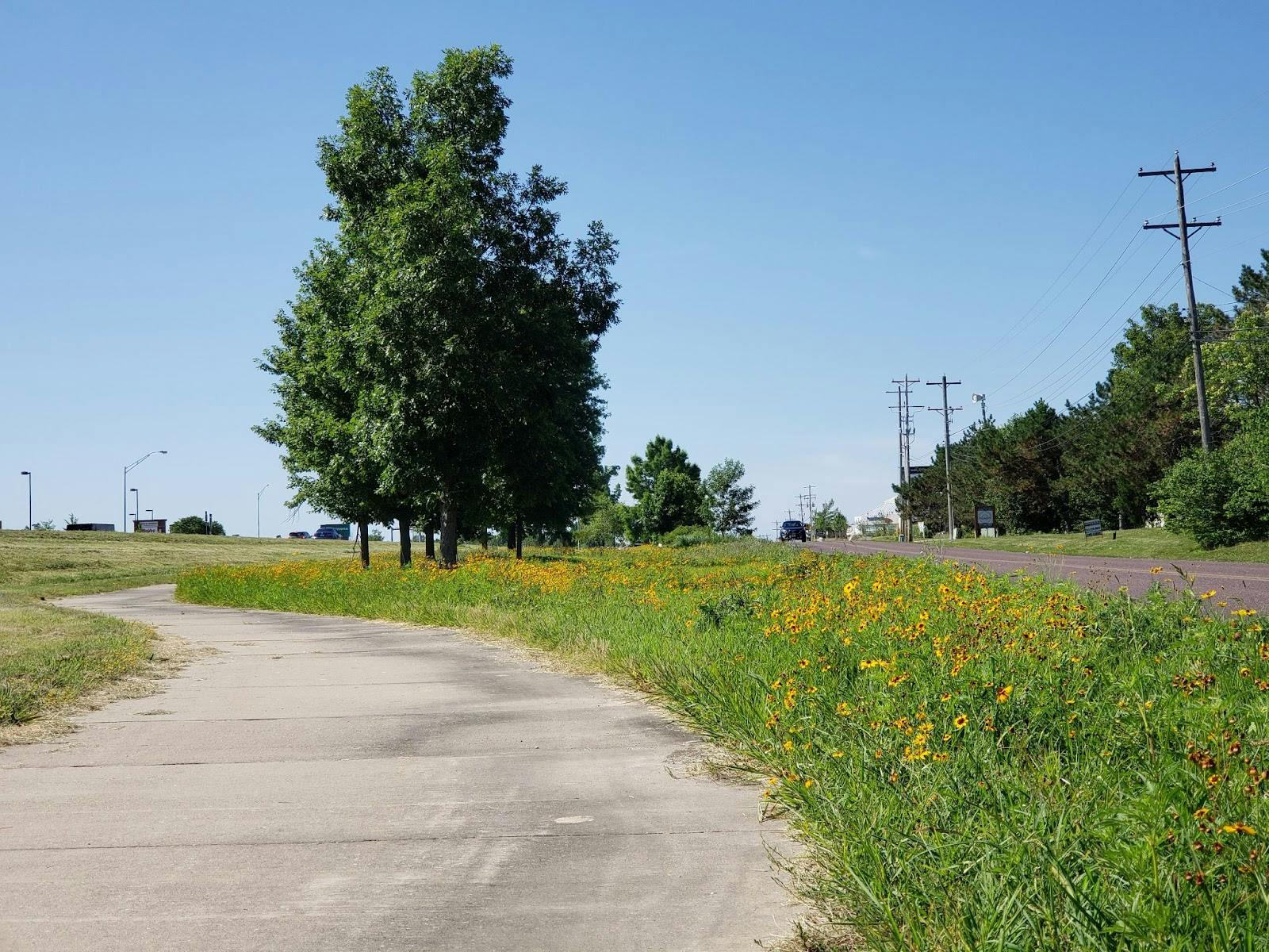 Roadside Pollinator Flowers