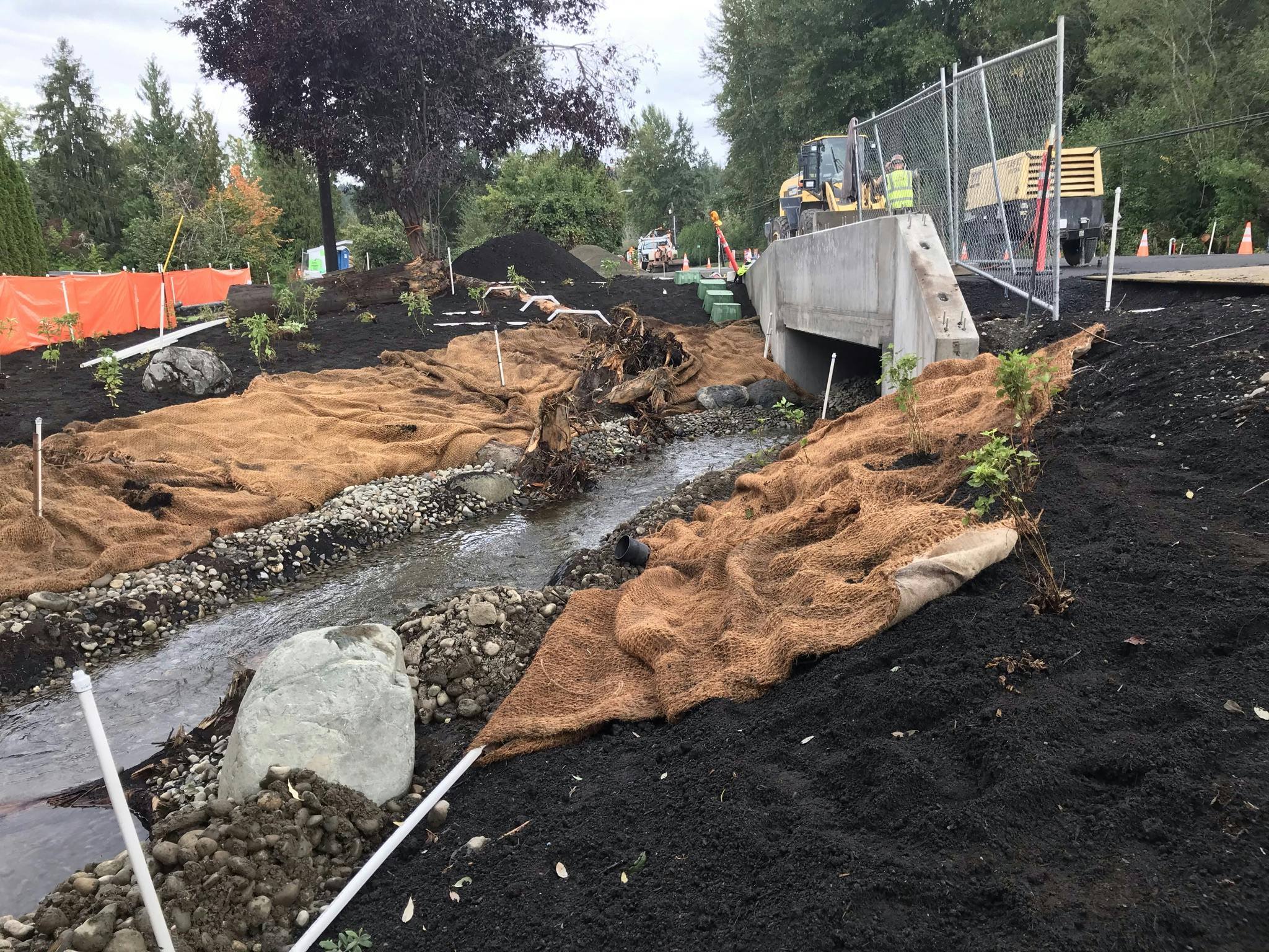 Downstream Restoration and Creek Realignment
