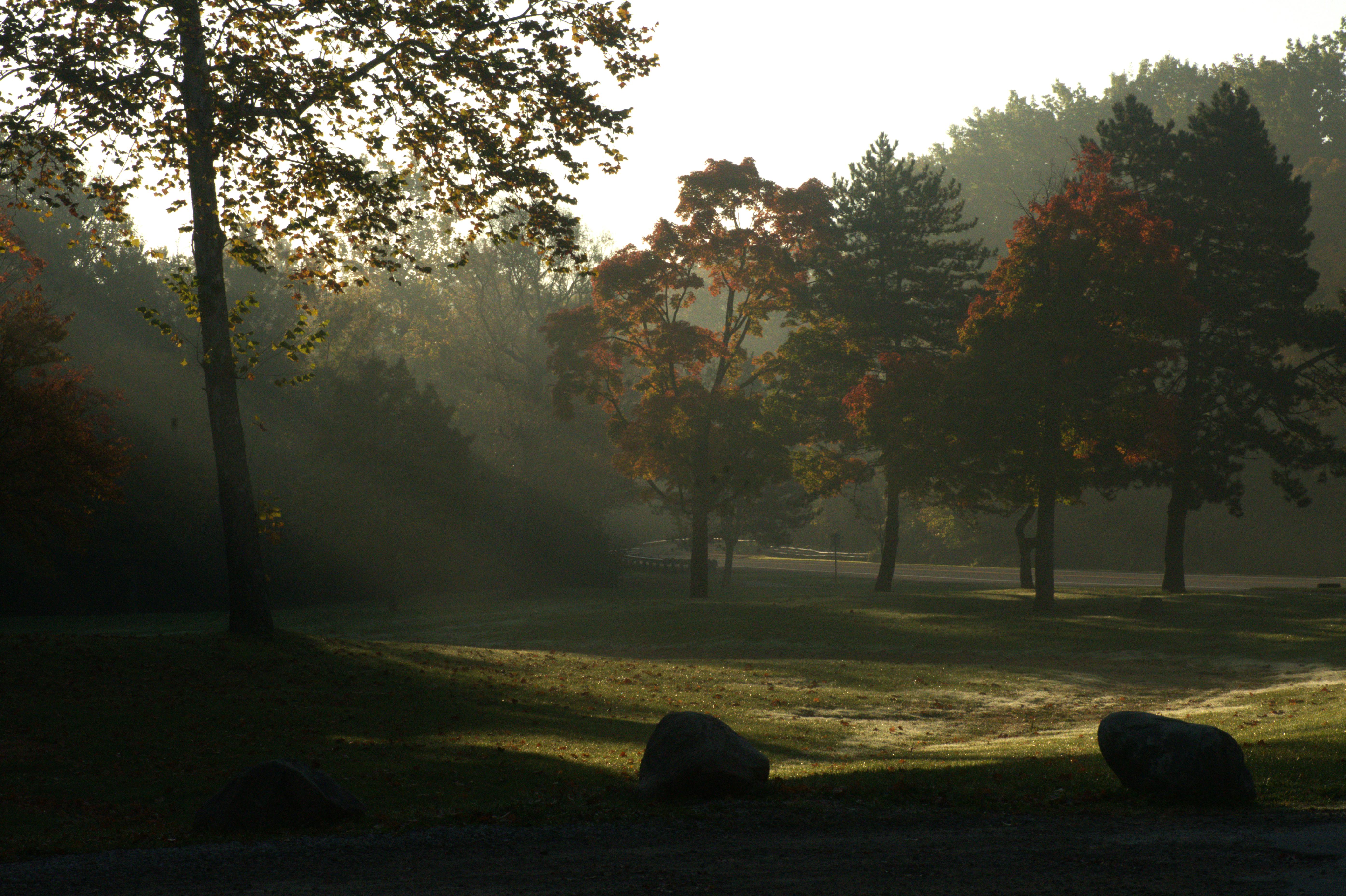 DSC_7180b.png