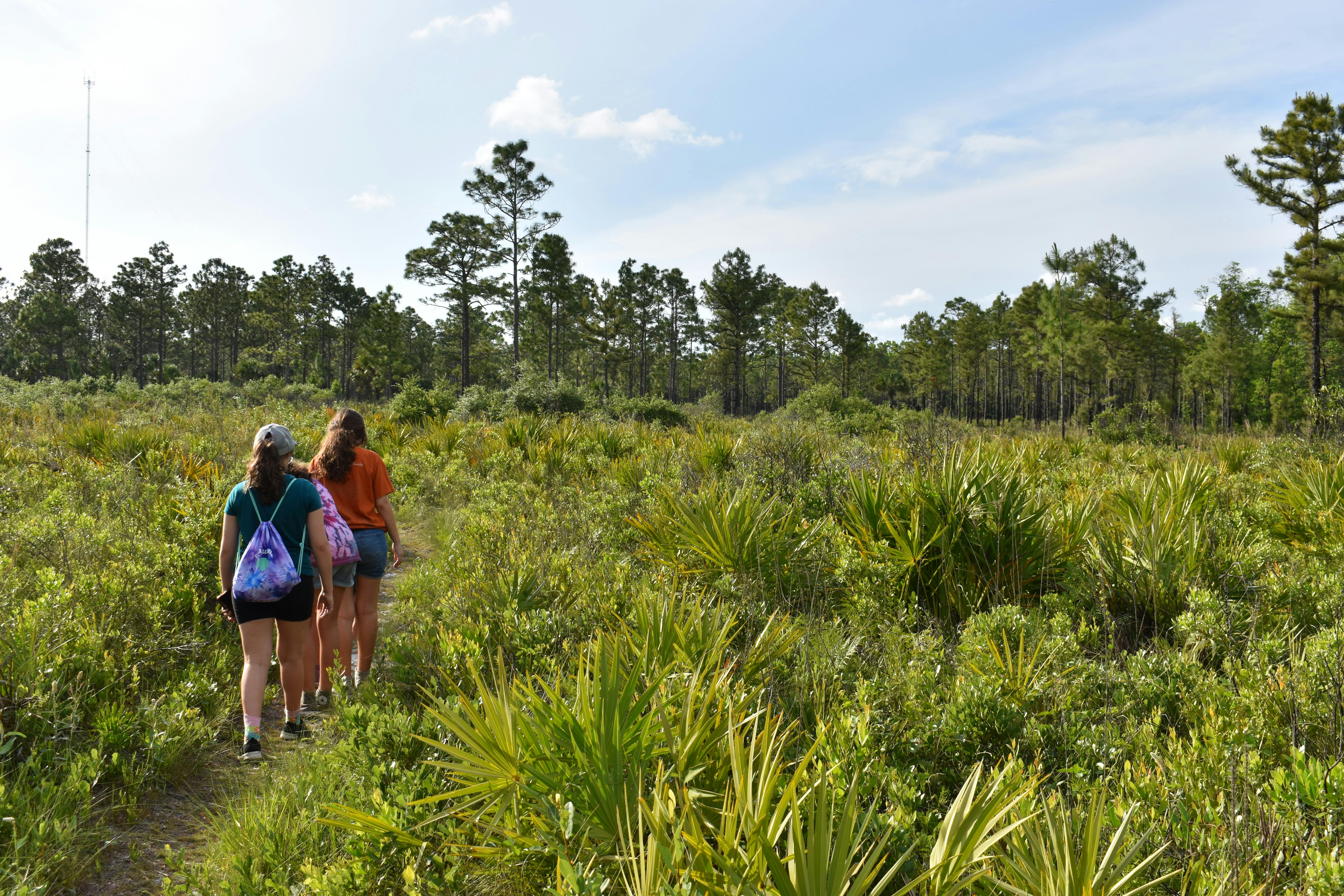 Scout Hike.JPG