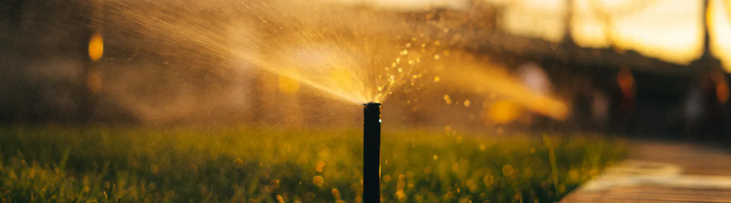 sprinkler watering green grass at golden hour
