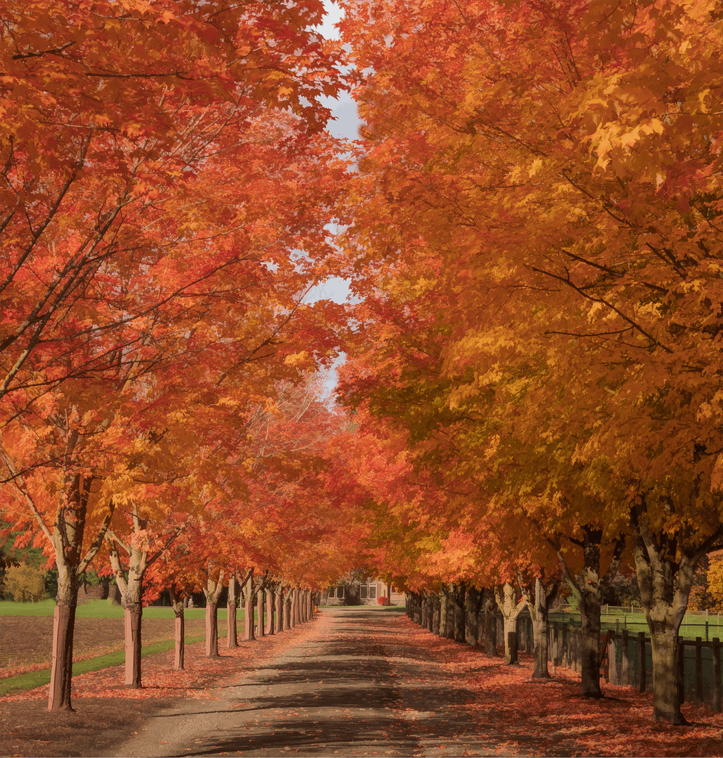 Category 6: Nature (Trees & Trails)