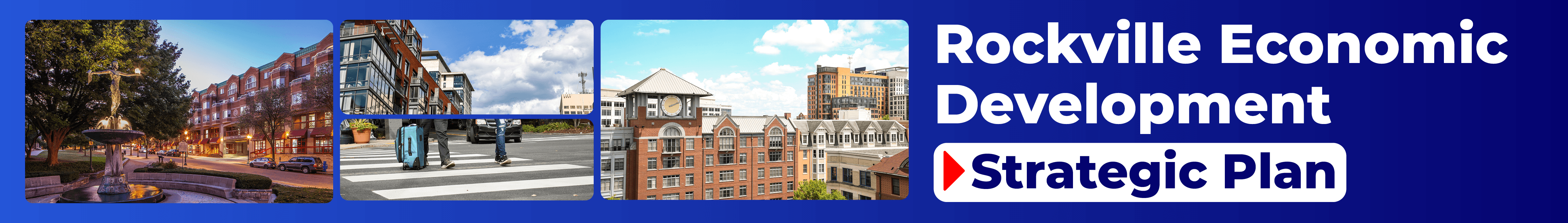 project banner