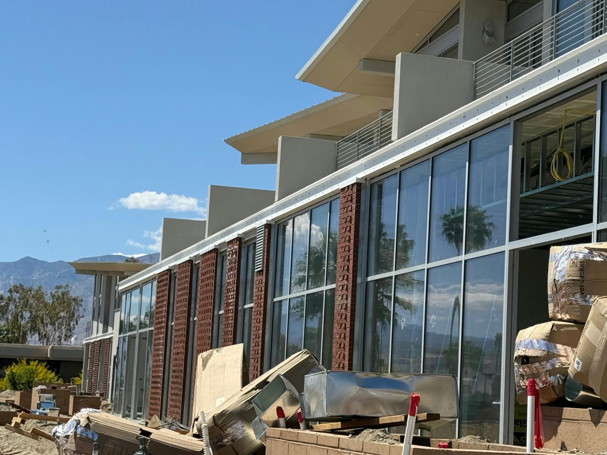 Aloe Palm Canyon 3.jpg