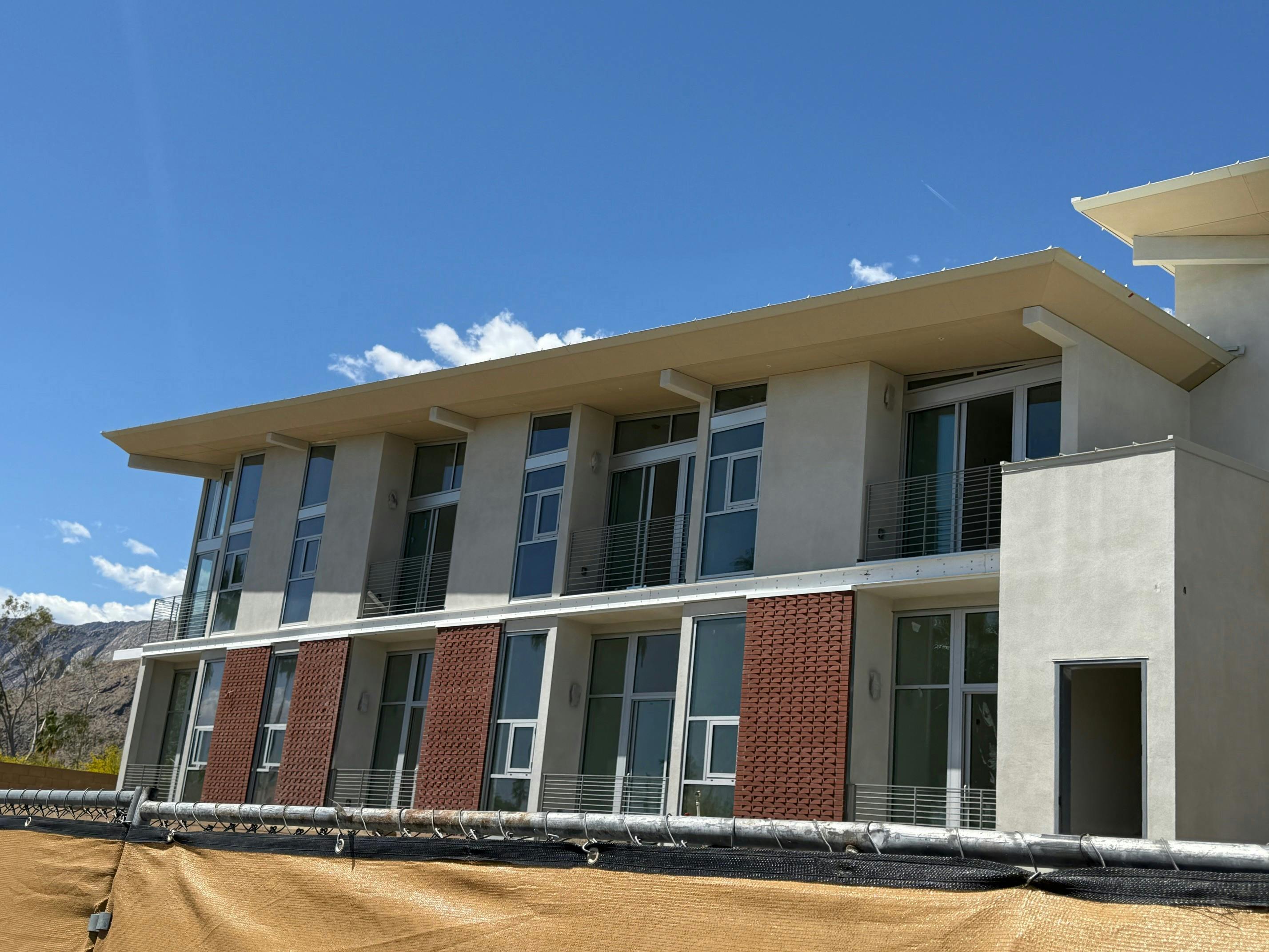 Aloe Palm Canyon 4.jpg