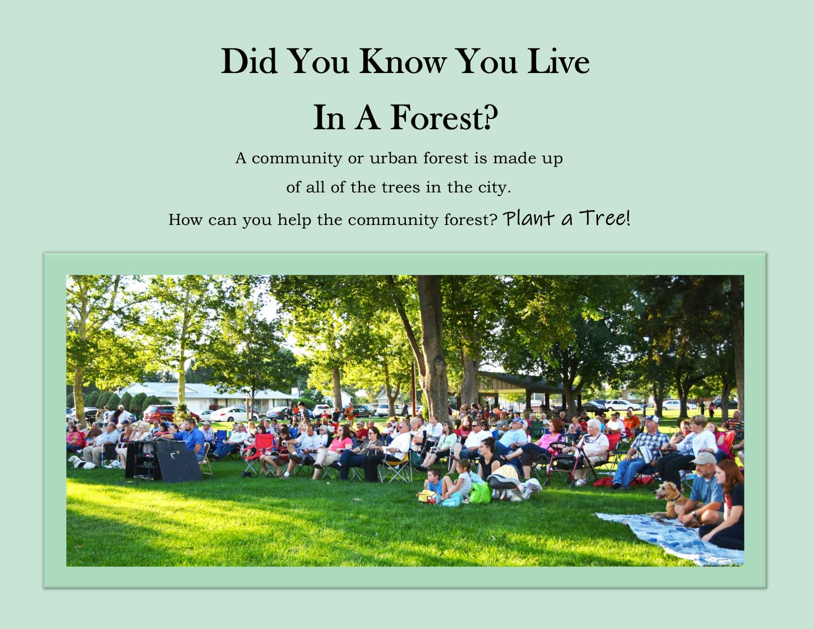 Lehi City Arbor Day Celebration 2021