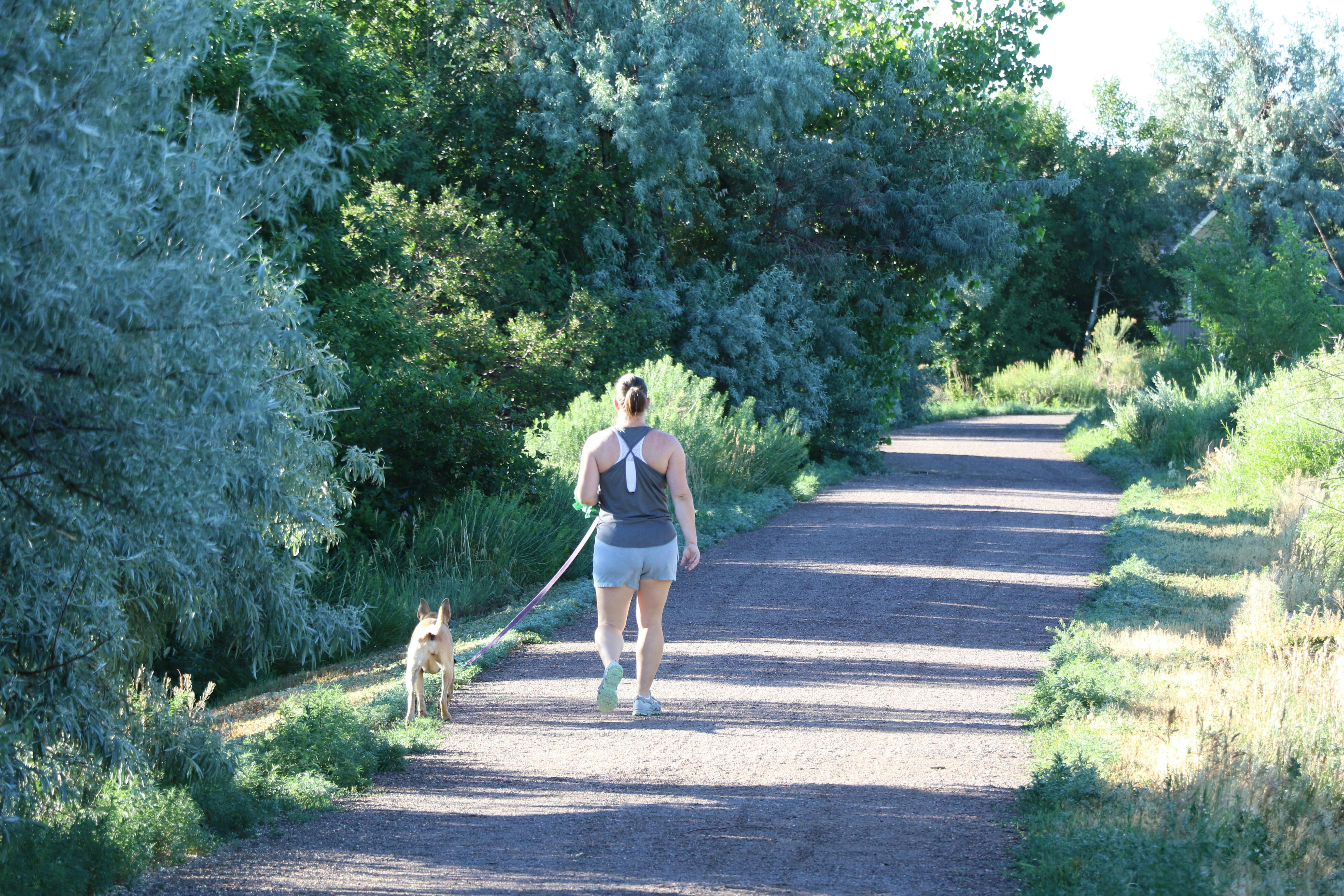 Trail pedestrian with dog